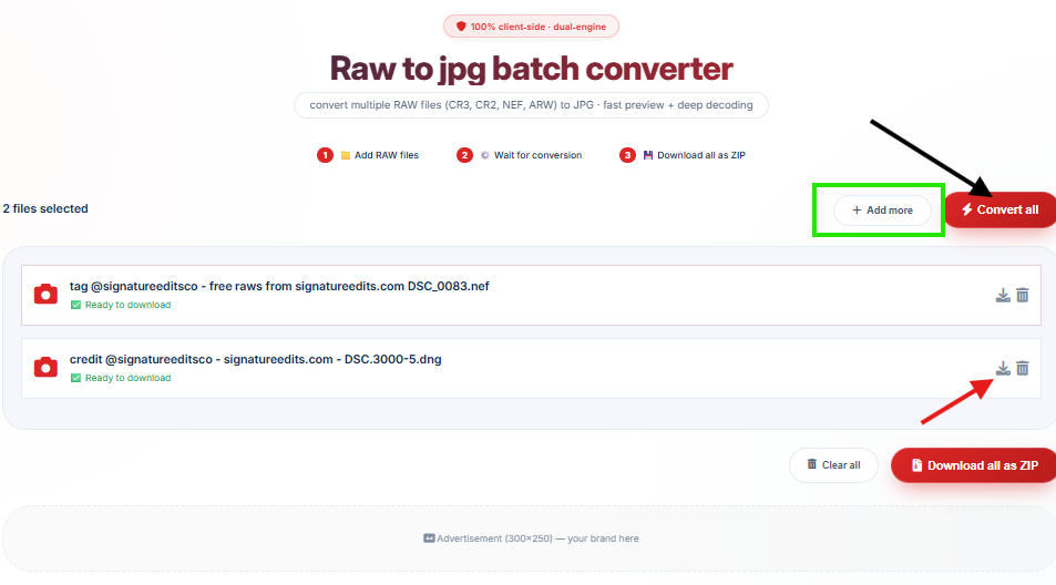 RAW files converted to high quality JPG - raw to jpg converter high-quality result