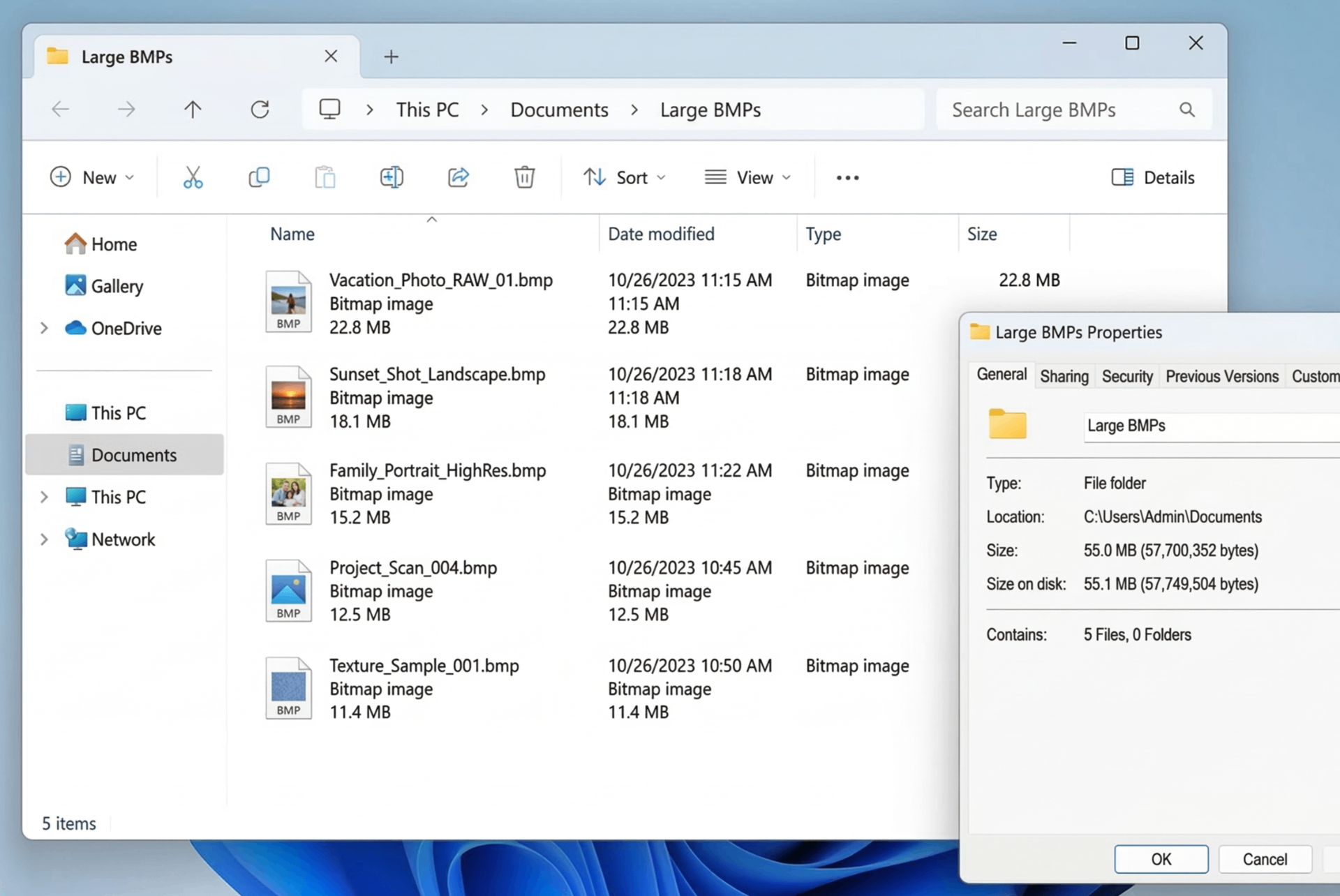 Multiple large BMP files in Windows 11 folder - before using bmp to jpg batch converter free tool