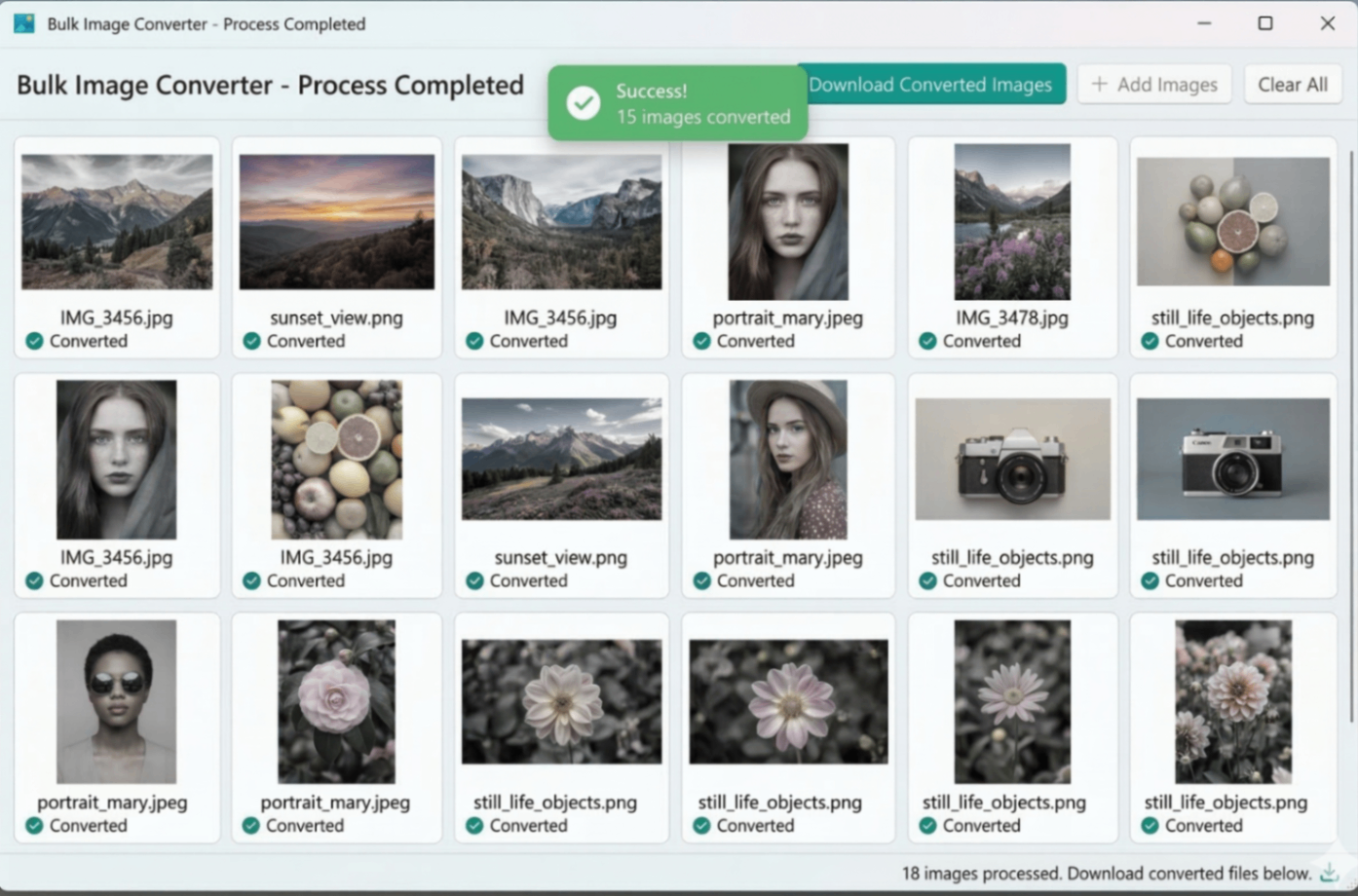 All photos converted to black and white in one click - result of photo to black and white converter with bulk support
