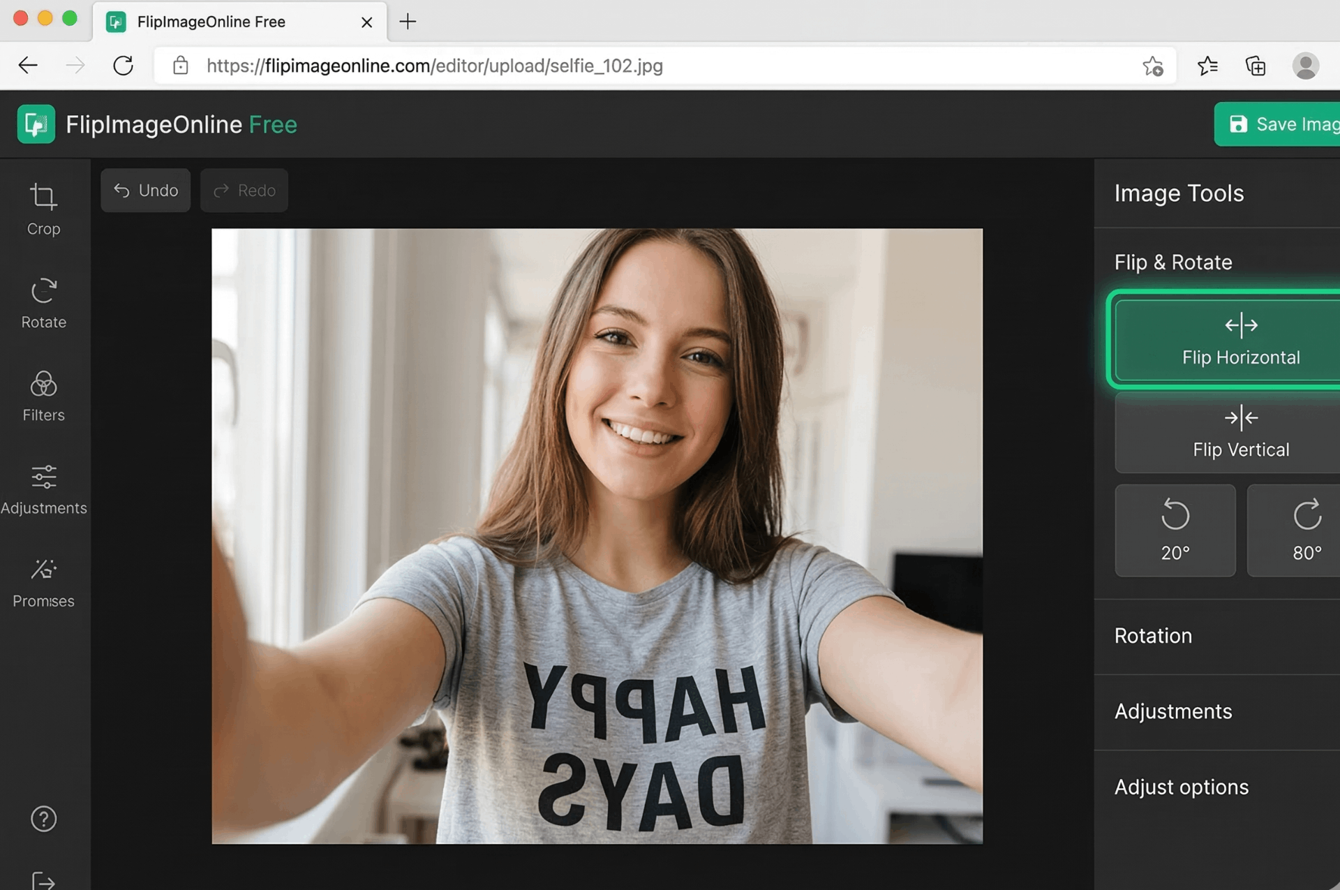 Successfully flipped images - horizontal flip and vertical mirror using free image flipper